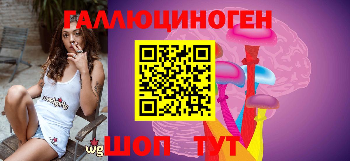 Галлюциногенные грибы Psilocybe  Галлюциногенные грибы прущие грибы  Славгород  Вход с VPN 